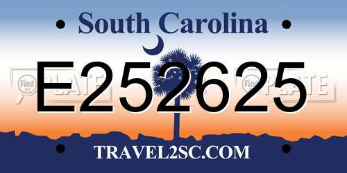 E252625 South Carolina License Plate