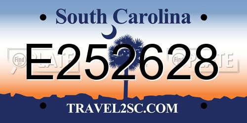 E252628 South Carolina License Plate