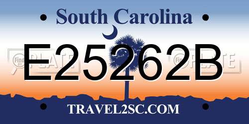 E25262B South Carolina License Plate