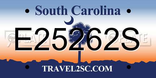 E25262S South Carolina License Plate