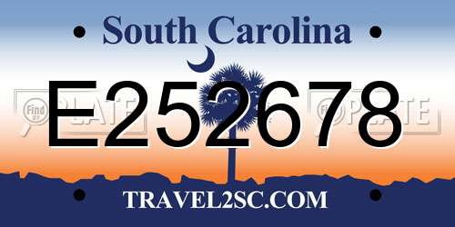 E252678 South Carolina License Plate