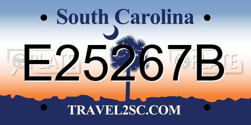E25267B South Carolina License Plate