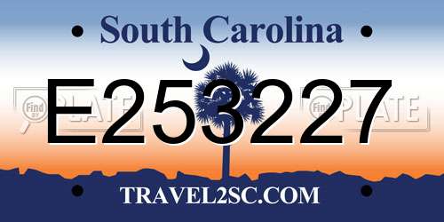 E253227 South Carolina License Plate