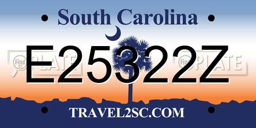 E25322Z South Carolina License Plate
