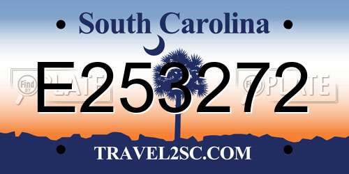E253272 South Carolina License Plate