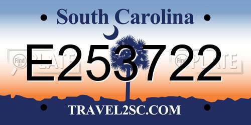 E253722 South Carolina License Plate