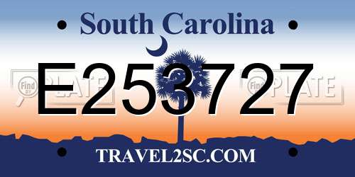 E253727 South Carolina License Plate