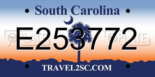 E253772 South Carolina License Plate