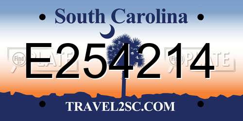 E254214 South Carolina License Plate