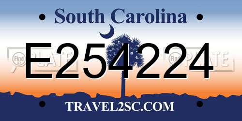 E254224 South Carolina License Plate