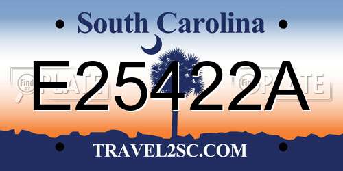 E25422A South Carolina License Plate