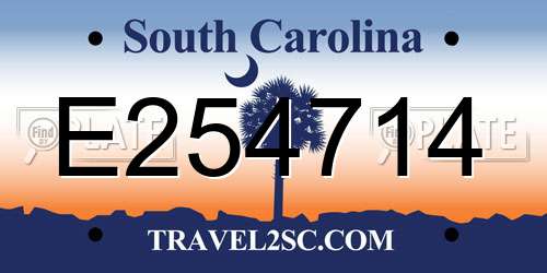 E254714 South Carolina License Plate
