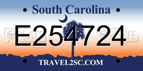 E254724 South Carolina License Plate