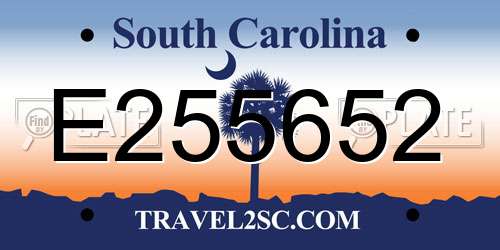 E255652 South Carolina License Plate