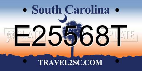E25568T South Carolina License Plate