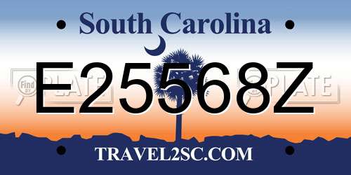 E25568Z South Carolina License Plate