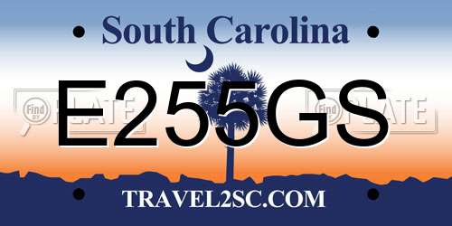 E255GS South Carolina License Plate
