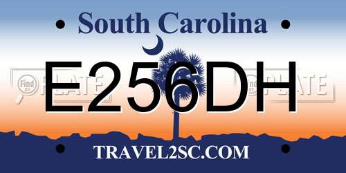 E256DH South Carolina License Plate