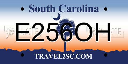 E256OH South Carolina License Plate