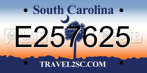 E257625 South Carolina License Plate