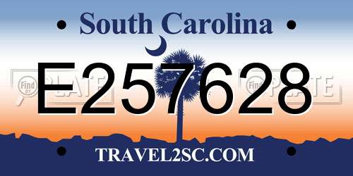 E257628 South Carolina License Plate