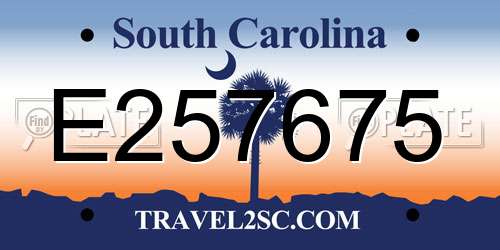 E257675 South Carolina License Plate