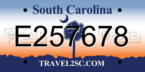 E257678 South Carolina License Plate