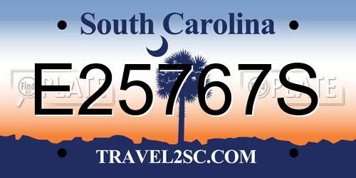 E25767S South Carolina License Plate