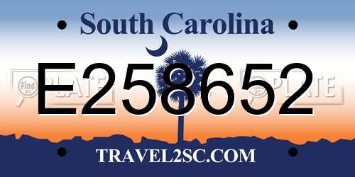 E258652 South Carolina License Plate