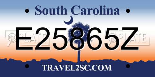 E25865Z South Carolina License Plate