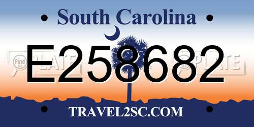 E258682 South Carolina License Plate