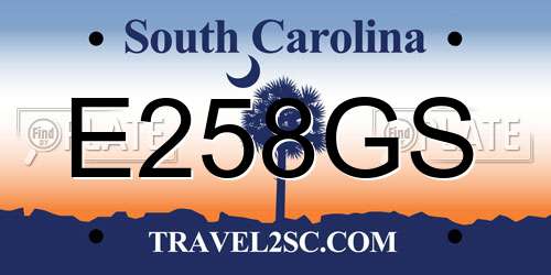 E258GS South Carolina License Plate