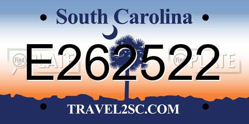E262522 South Carolina License Plate