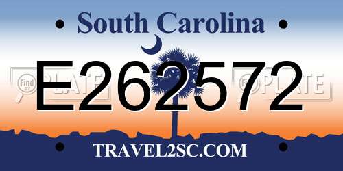 E262572 South Carolina License Plate