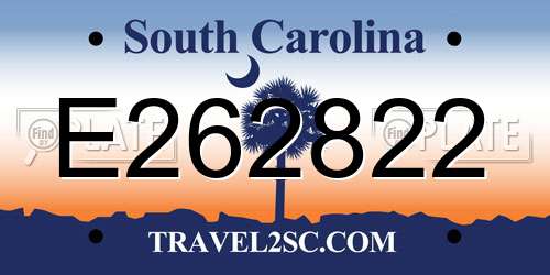 E262822 South Carolina License Plate