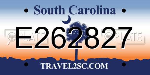 E262827 South Carolina License Plate
