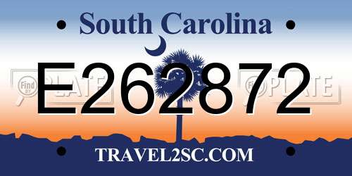E262872 South Carolina License Plate