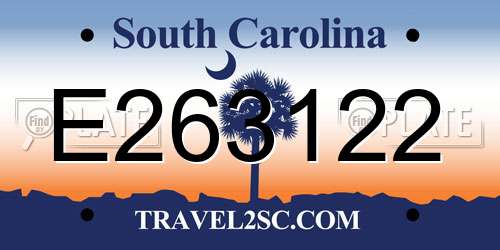 E263122 South Carolina License Plate