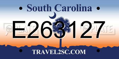 E263127 South Carolina License Plate