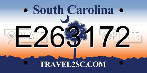 E263172 South Carolina License Plate