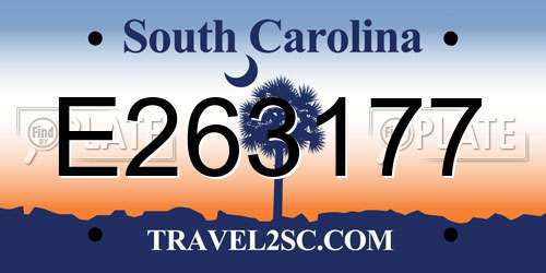 E263177 South Carolina License Plate