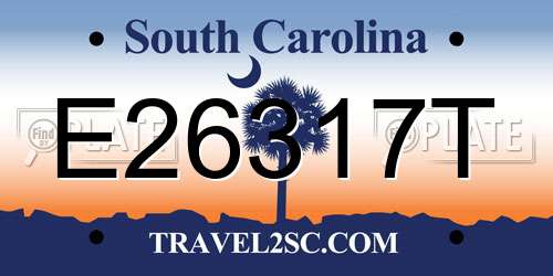 E26317T South Carolina License Plate