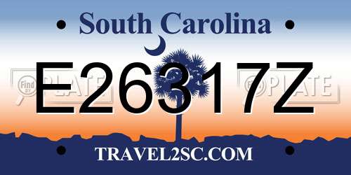 E26317Z South Carolina License Plate