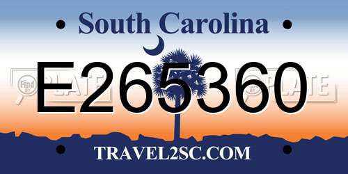 E265360 South Carolina License Plate