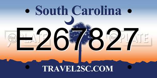 E267827 South Carolina License Plate