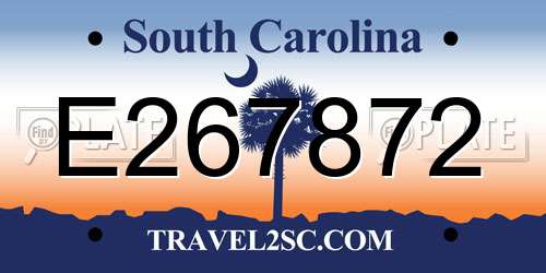 E267872 South Carolina License Plate