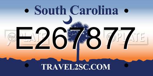 E267877 South Carolina License Plate