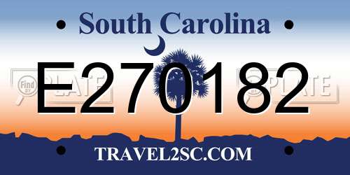 E270182 South Carolina License Plate
