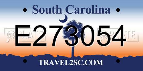 E273054 South Carolina License Plate