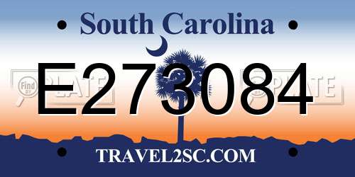 E273084 South Carolina License Plate